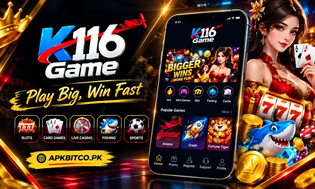 K116 Game interface